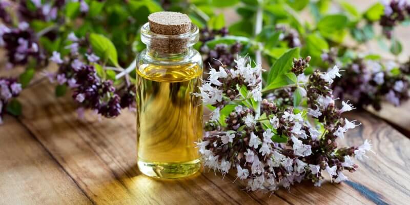 10 Things you must know before using essential oils