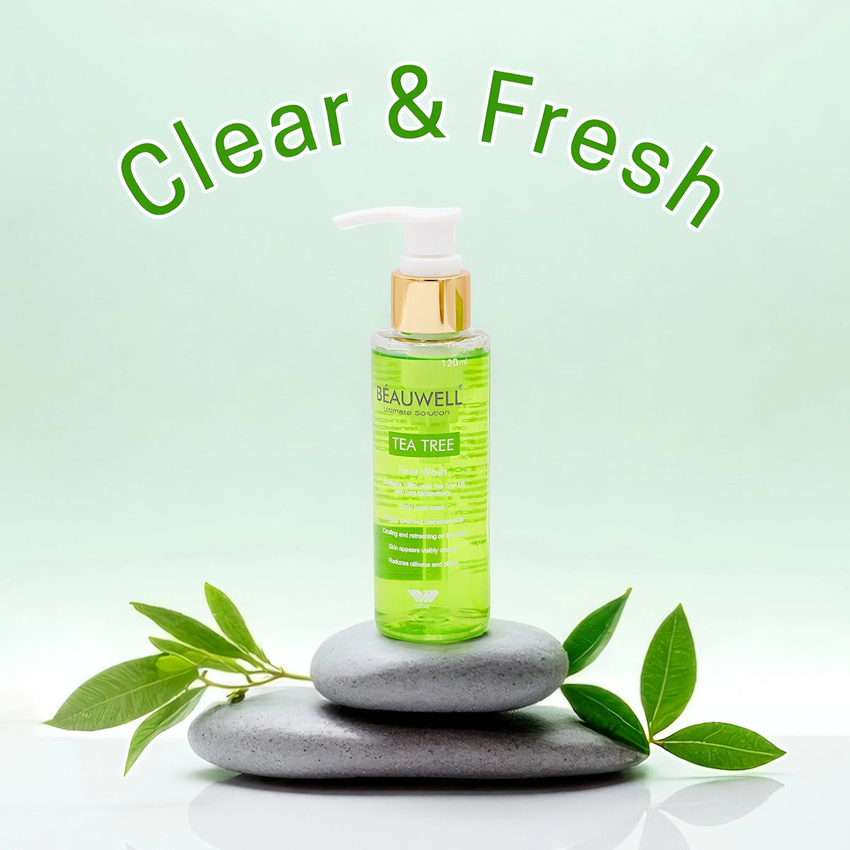 A photo of a green Beauwell Tea Tree Face Wash bottle with a white pump dispenser, positioned on a stack of smooth gray stones. Green leaves are visible on either side of the bottle.