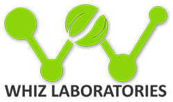 whiz laboratories icon