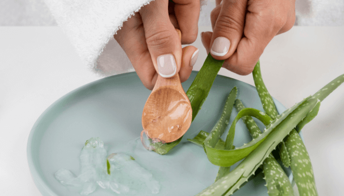 hands taking out aloe vera gel in plate